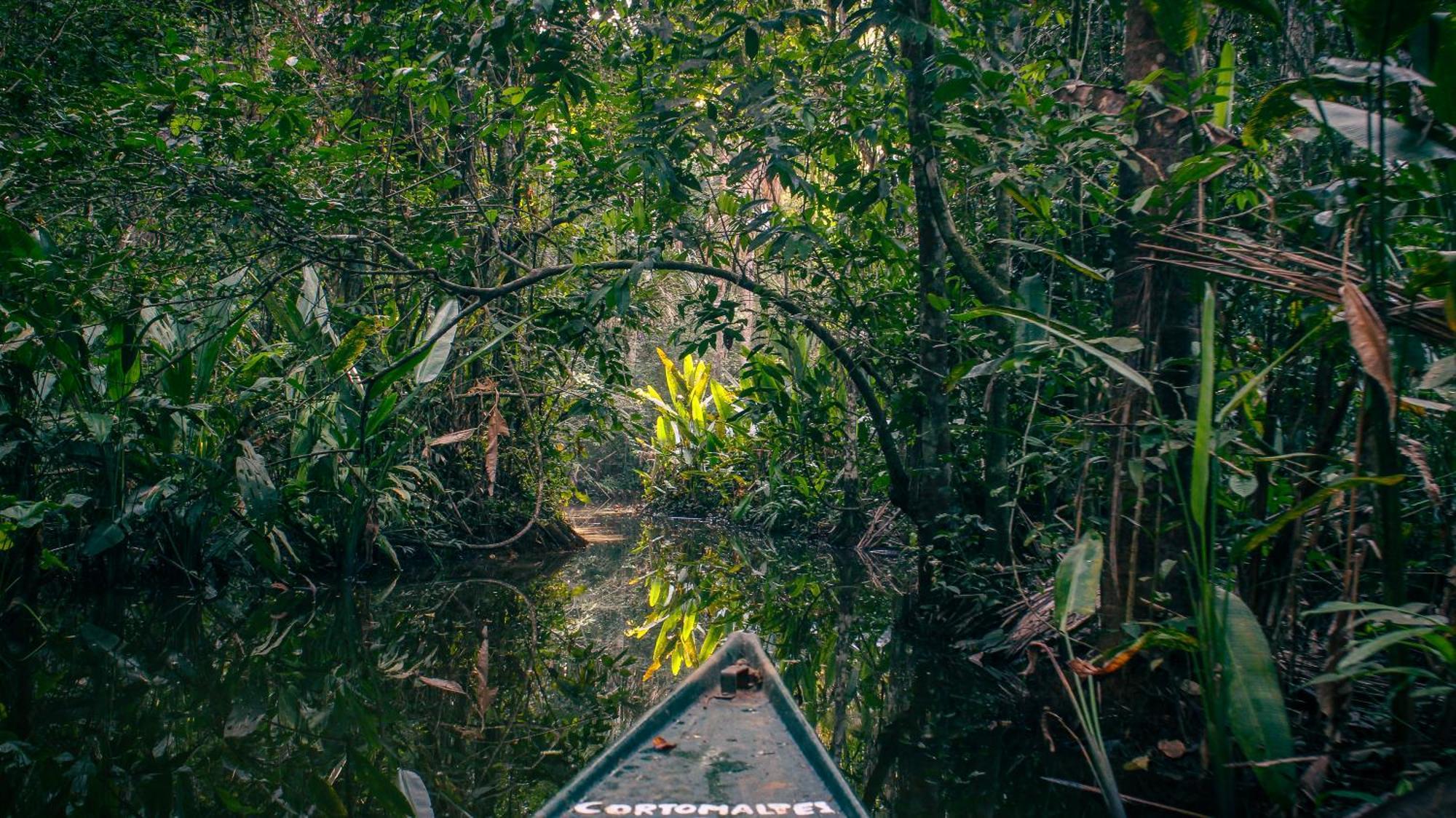 Corto Maltes Amazonia Lodge Пуерто-Мальдонадо Екстер'єр фото