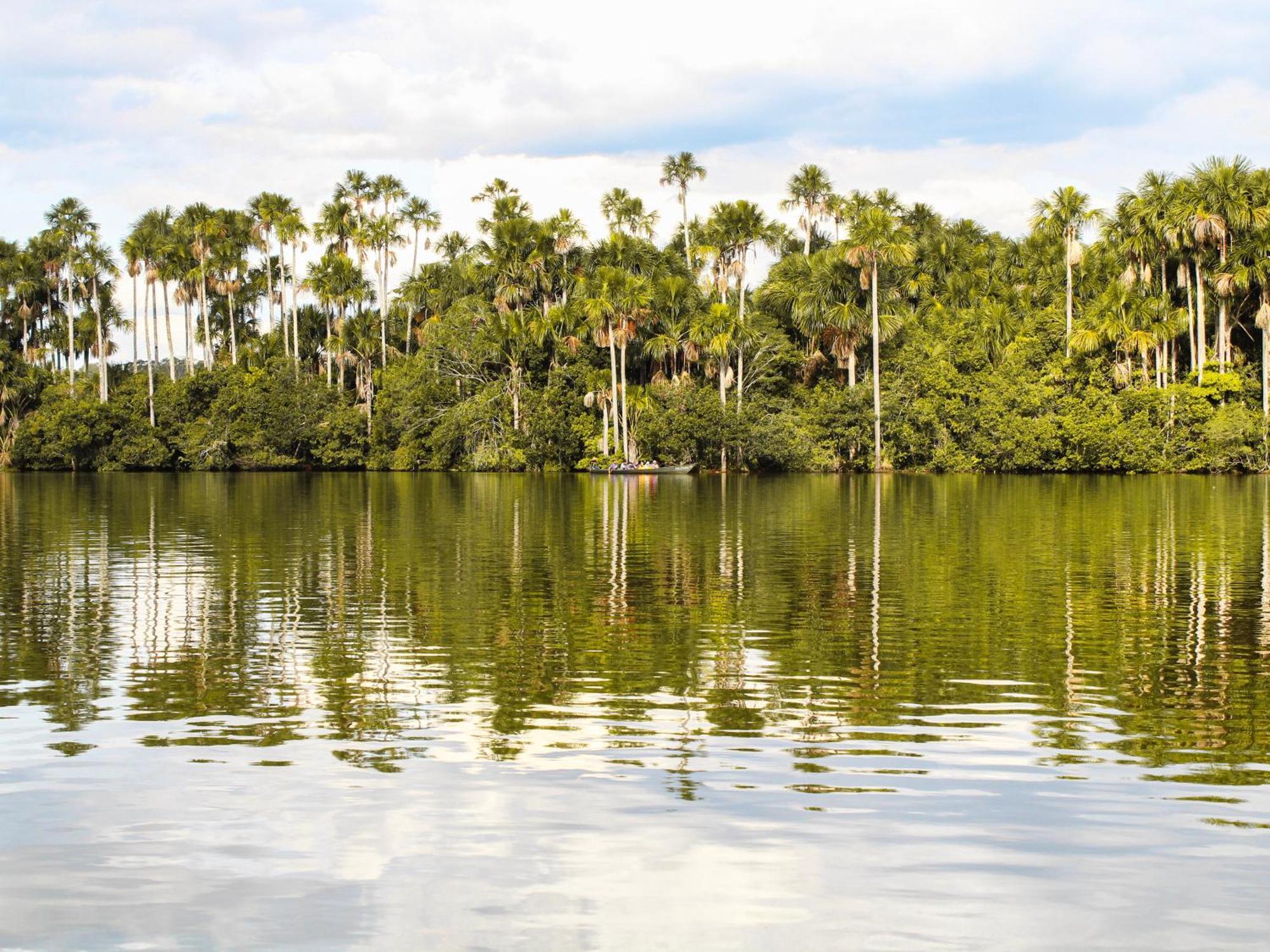 Corto Maltes Amazonia Lodge Пуерто-Мальдонадо Екстер'єр фото