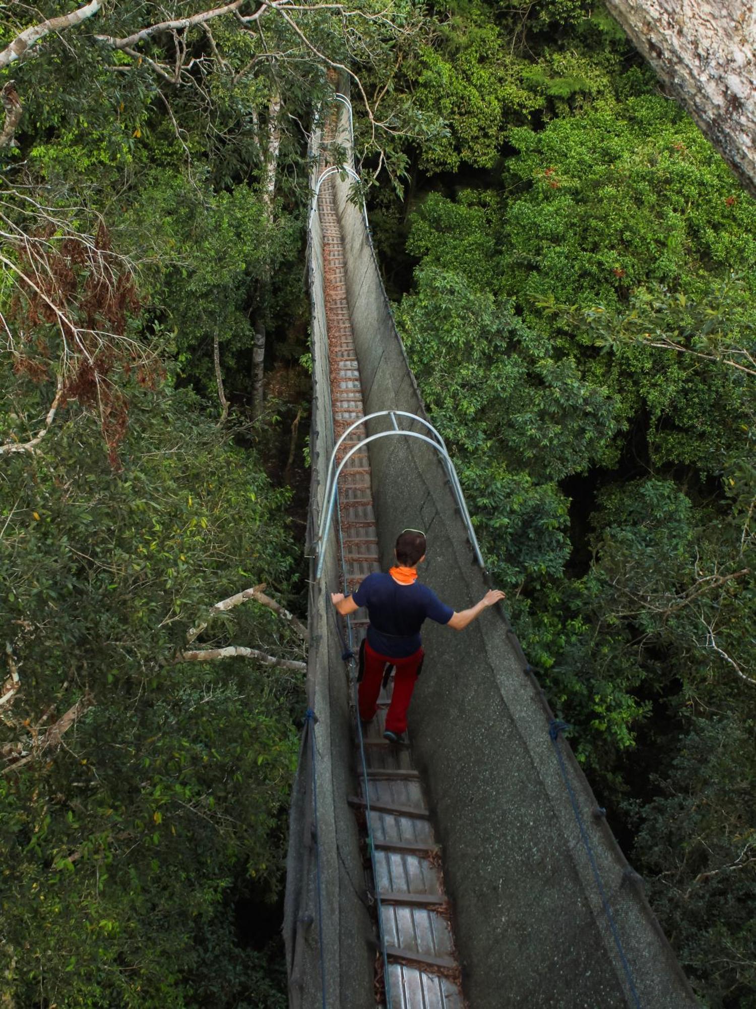 Corto Maltes Amazonia Lodge Пуерто-Мальдонадо Екстер'єр фото