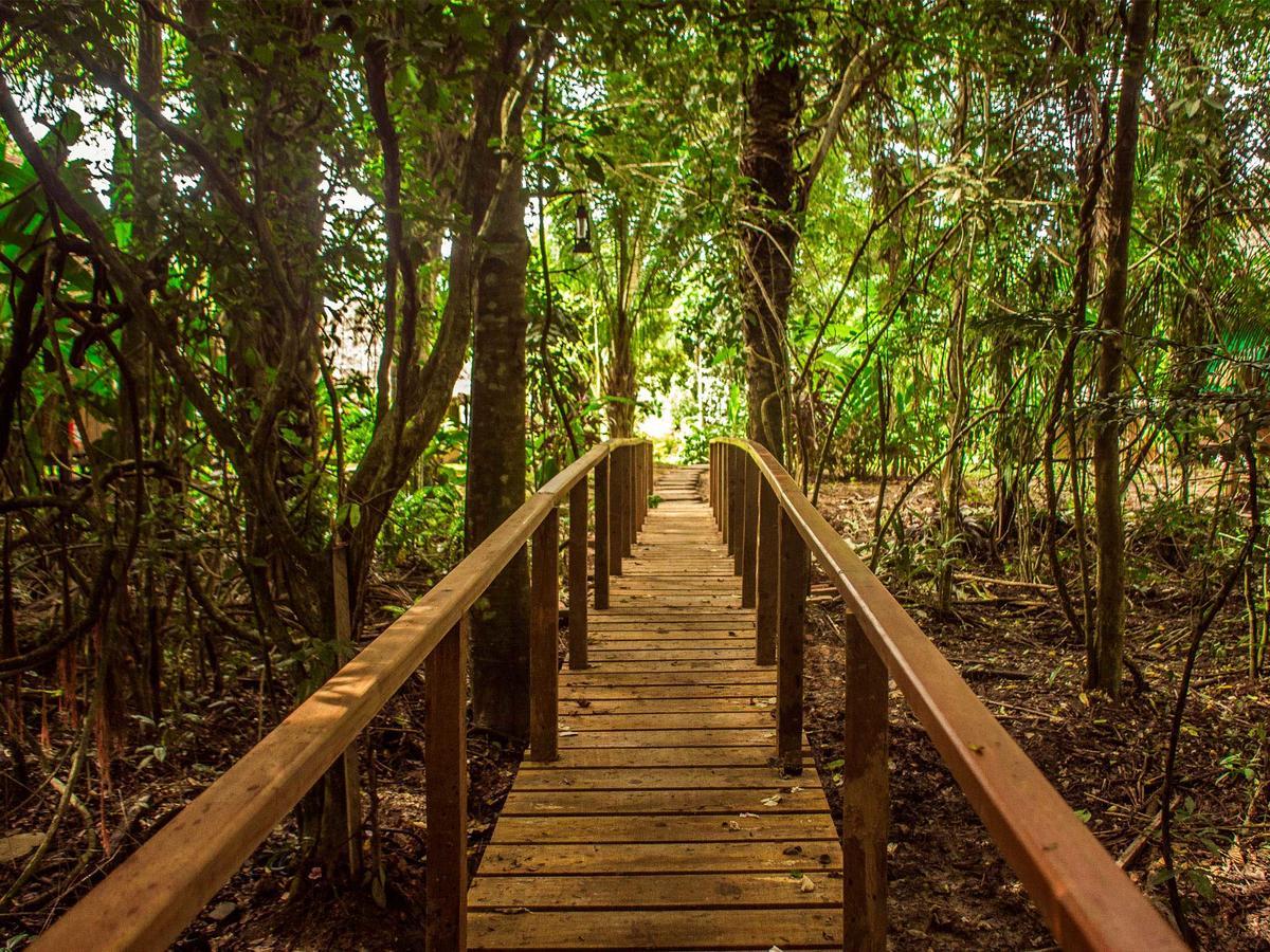 Corto Maltes Amazonia Lodge Пуерто-Мальдонадо Екстер'єр фото